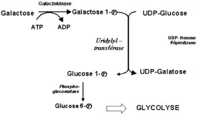 Capture d’écran 2016-08-01 à 21.02.23.png