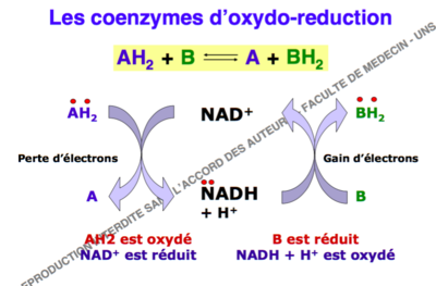 Capture d’écran 2016-08-06 à 16.02.09.png