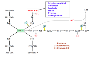 Capture d’écran 2016-08-08 à 19.50.25.png