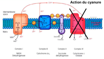 Capture d’écran 2016-08-08 à 19.55.07.png