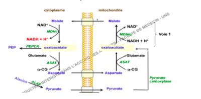 Capture d’écran 2016-08-17 à 09.08.19.png