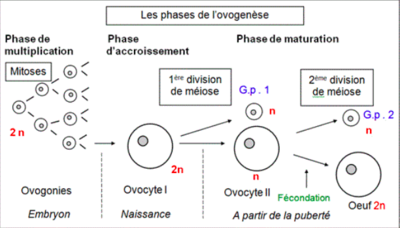 Capture d’écran 2016-08-17 à 22.59.31.png