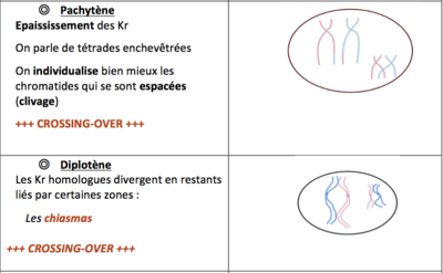 Capture d’écran 2016-08-21 à 10.20.38.png