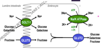 Capture d’écran 2016-08-24 à 07.52.24.png