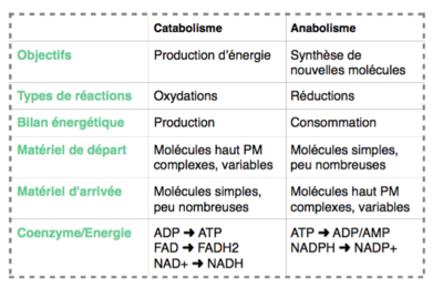 Capture d’écran 2016-08-24 à 15.40.55.png