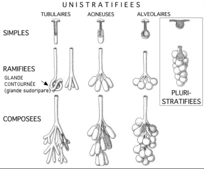 Capture d’écran 2016-08-24 à 17.07.31.png