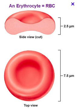 Capture d’écran 2016-08-26 à 13.54.08.png