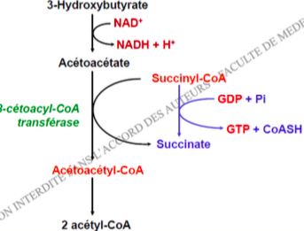 Capture d’écran 2016-08-26 à 18.05.54.png