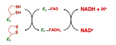 Capture d’écran 2016-08-27 à 20.17.35.png