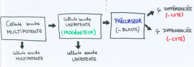 Capture d’écran 2016-08-29 à 16.41.48.png