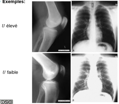 Capture d’écran (66).png