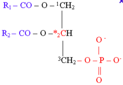 Capture d’écran 2016-08-31 à 15.30.18.png