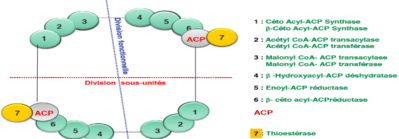 Capture d’écran 2016-08-31 à 20.49.32.png