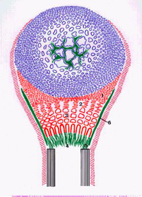 Capture d’écran 2016-09-02 à 10.54.03.png