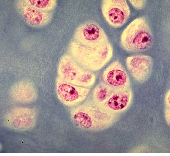 Capture d’écran 2016-09-02 à 10.52.46.png