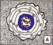 Capture d’écran 2016-09-02 à 11.36.08.png