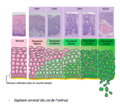 Capture d’écran 2016-09-02 à 13.13.39.png