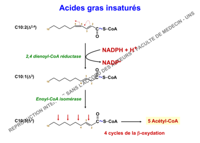Capture d’écran (40).png