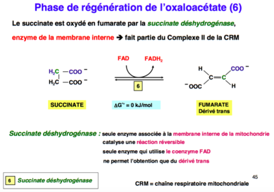 Capture d’écran 2016-09-04 à 20.41.12.png