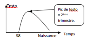 Capture d’écran 2016-09-04 à 20.43.18.png