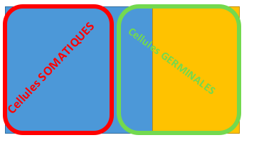 Capture d’écran 2016-09-05 à 20.16.59.png