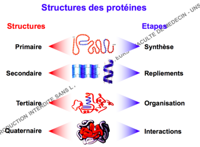Capture d’écran 2016-09-06 à 21.31.14.png