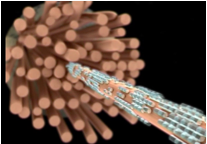 Capture d’écran 2016-09-07 à 17.55.53.png