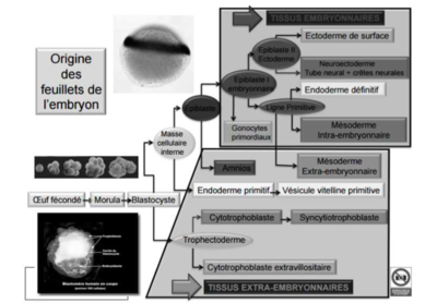 Screen Shot 2016-09-12 at 4.29.51 PM.png