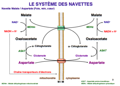 Capture d’écran 2016-09-12 à 17.18.35.png