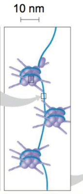 Capture d’écran 2016-09-13 à 12.27.43.png