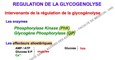 Capture d’écran 2016-09-13 à 15.30.44.png