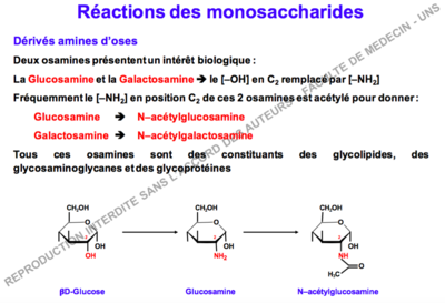 Capture d’écran 2016-09-13 à 18.06.50.png