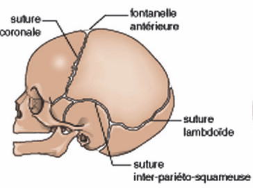 figure1.jpg