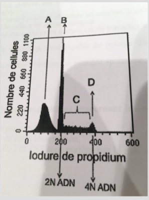 Capture d’écran 2016-09-17 à 09.06.36.png