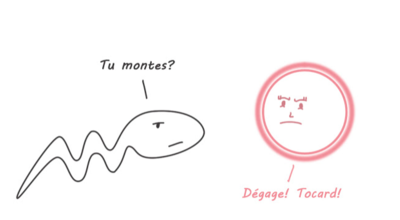 Capture d’écran 2016-09-19 à 20.56.02.png