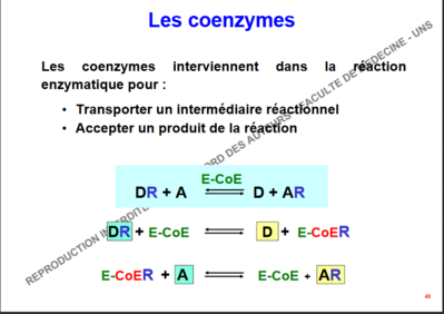 co enzyme.PNG