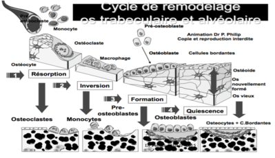 Capture d’écran 2016-09-21 à 19.58.08.png