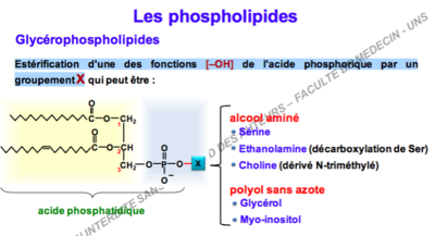 Capture d’écran 2016-09-22 à 10.05.24.png
