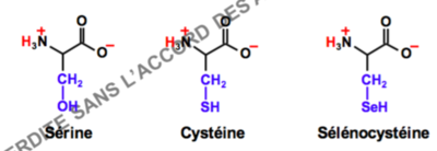 Capture d’écran 2016-09-22 à 10.11.53.png