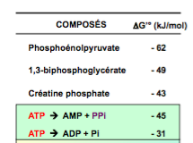 Capture d’écran 2016-09-22 à 10.21.07.png