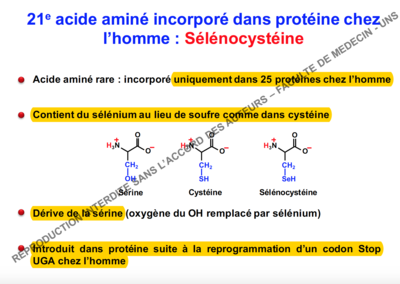 Capture d’écran 2016-09-06 à 11.53.01.png
