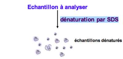 Capture d’écran 2016-09-23 à 17.39.15.png