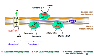 Capture d’écran 2016-09-25 à 16.08.15.png