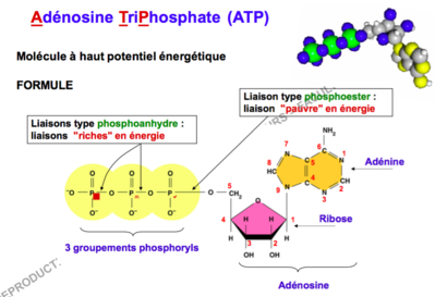 Capture d’écran 2016-09-25 à 19.12.09.png