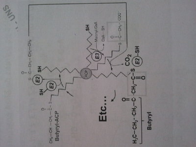 2016-09-28 17.39.10.jpg