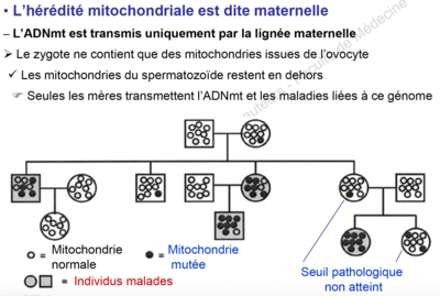 Capture d’écran 2016-09-30 à 10.06.55.png