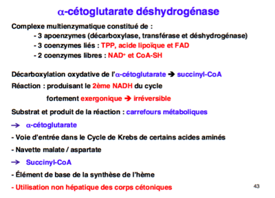 Capture d’écran 2016-10-02 à 01.36.08.png