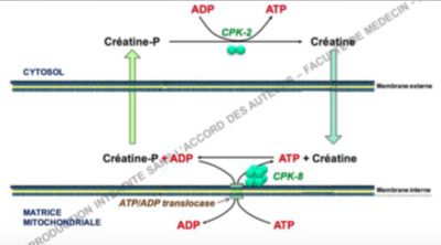 Capture d’écran 2016-10-02 à 01.47.35.png