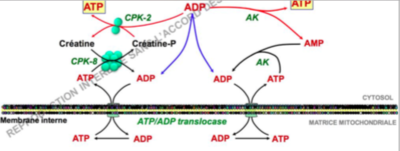 Capture d’écran 2016-10-02 à 01.47.18.png