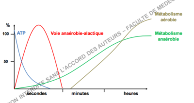 Capture d’écran 2016-10-02 à 11.27.58.png